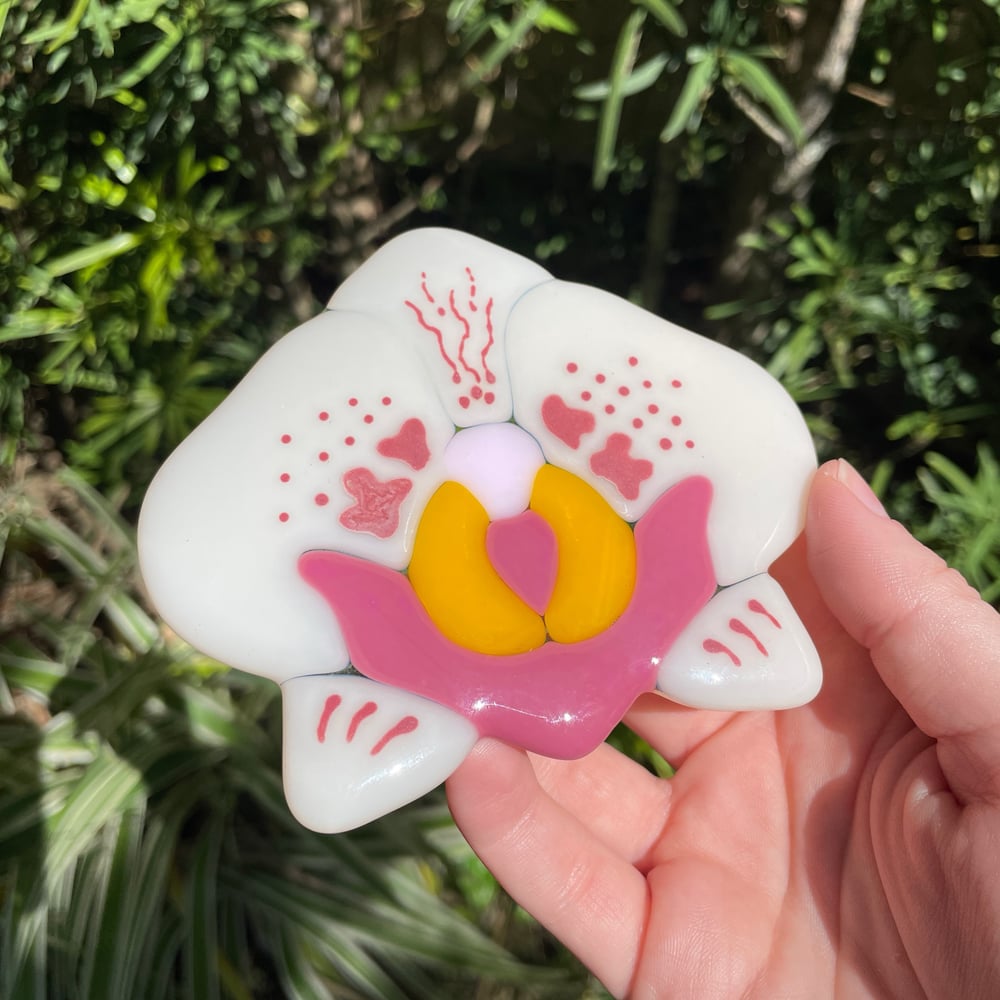 Image of Orchid coaster 