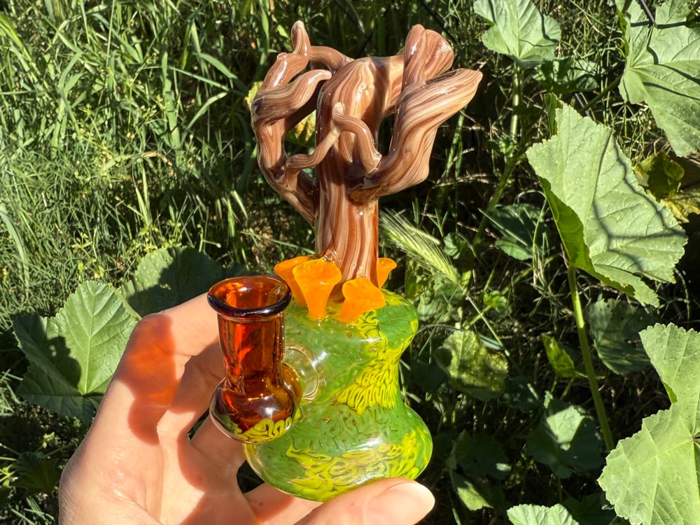 Image of Chanterelle Jammer