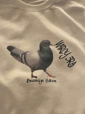 Bk Pigeon