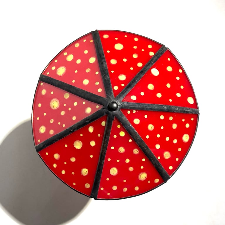 Curious Alice Image 12