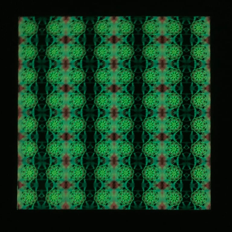 Cosmic Seed Image 2