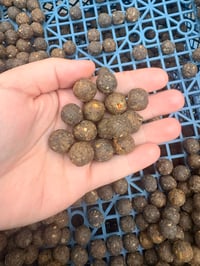 Image 2 of Crab, liver and krill boilies