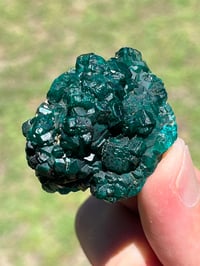 Image 6 of Dioptase Specimen #2539