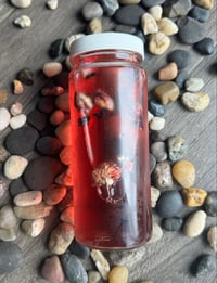 Image 3 of Rose Hibiscus Ice Toner