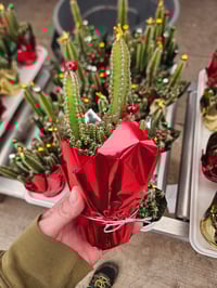 Fairy Castle - Christmas