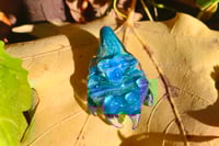 Image 3 of Ocean Paw