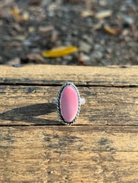 Image 1 of The Wild Rose