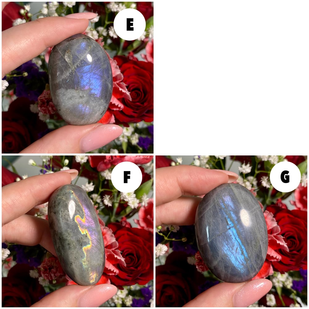 Image of Labradorite Palmstone 