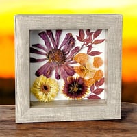 Image 1 of Zinnia, Calendula, Indian Blanket And Nasturtium Wildflowers In 6" X 6" Shadow Box (Item# 202212S)