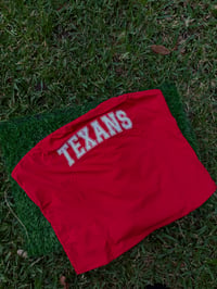 Texans Tube Too