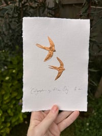 Image 2 of Calligraphers Of The Sky