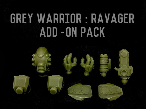 Image of Ravager Add-On Pack