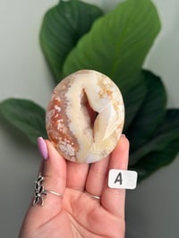 Image 1 of CHOOSE YOUR OWN HQ FLOWER AGATE PALM STONE -MADAGASCAR-