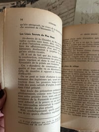 Image 6 of L’énigme du Grand Sphinx, de Georges Babarin, 1946, éditions Adyar