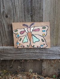 Image 7 of Moth 