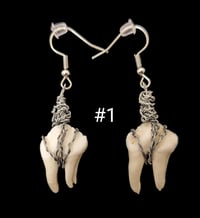 Image 1 of Chunky Deer Molar Earrings