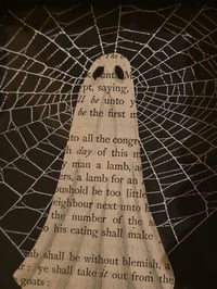 Image 2 of 1800’s biblical Ghost with preserved spider web -large ornate black rose