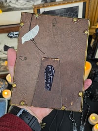 Image 4 of Spiney orbweiver taxidermy spider with real preserved spider web 1800s Bible