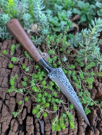 Image 1 of ONYX MICRO FIGHTER