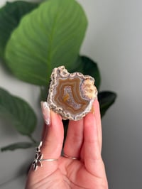BLUE AND ORANGE CONDOR AGATE -ARGENTINA- #12