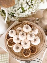 SALE! White Pumpkin Bundle ( Set of 12 )