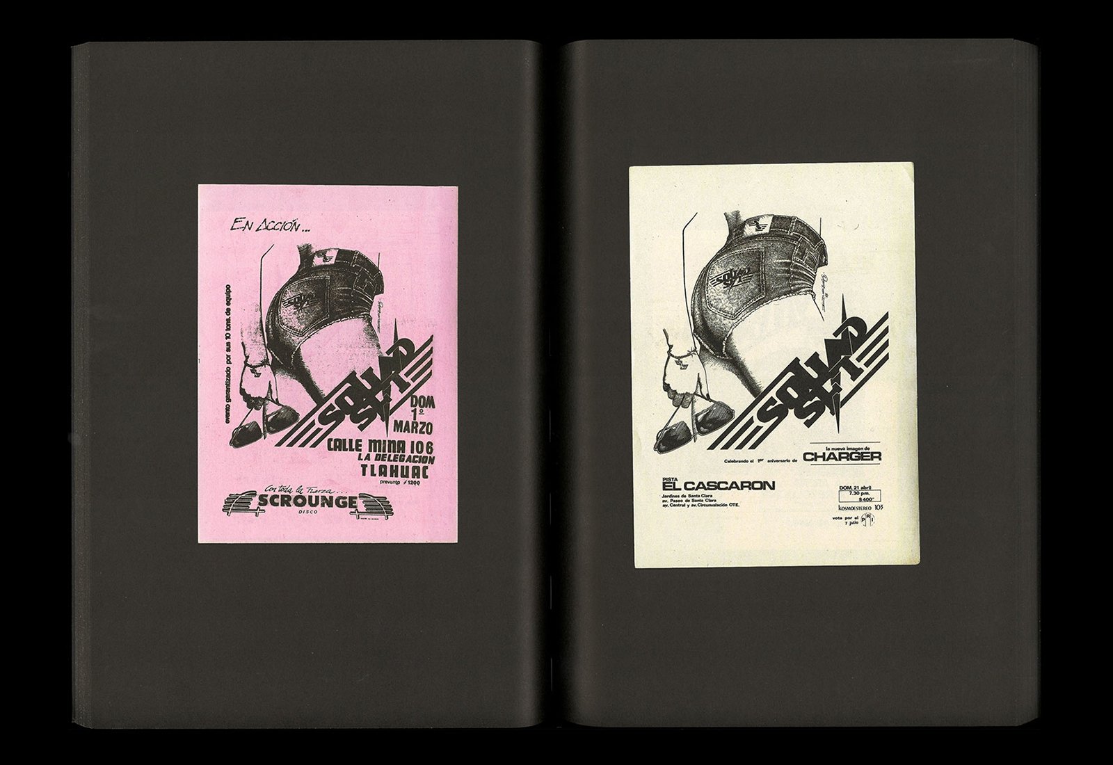 Zukunft — Panther's Collection Book