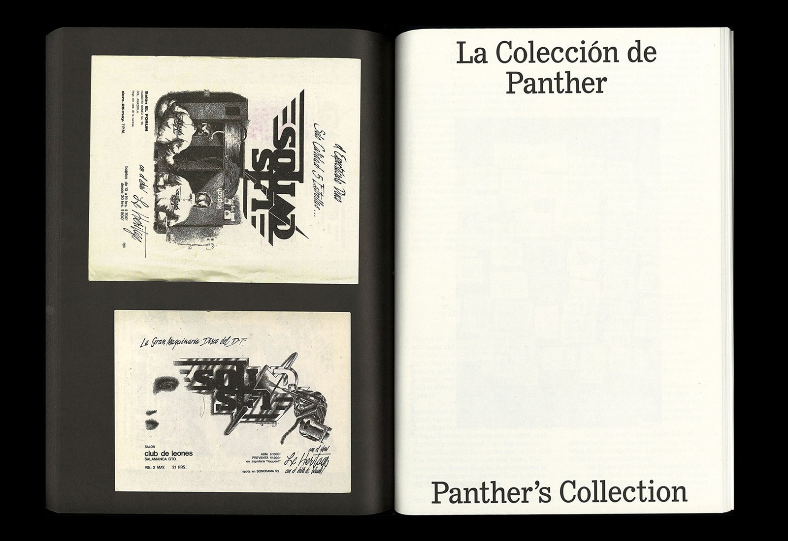 【希少本】Panther's Collection by Mirjam Wirz Zukunft — Panther's Collection Book