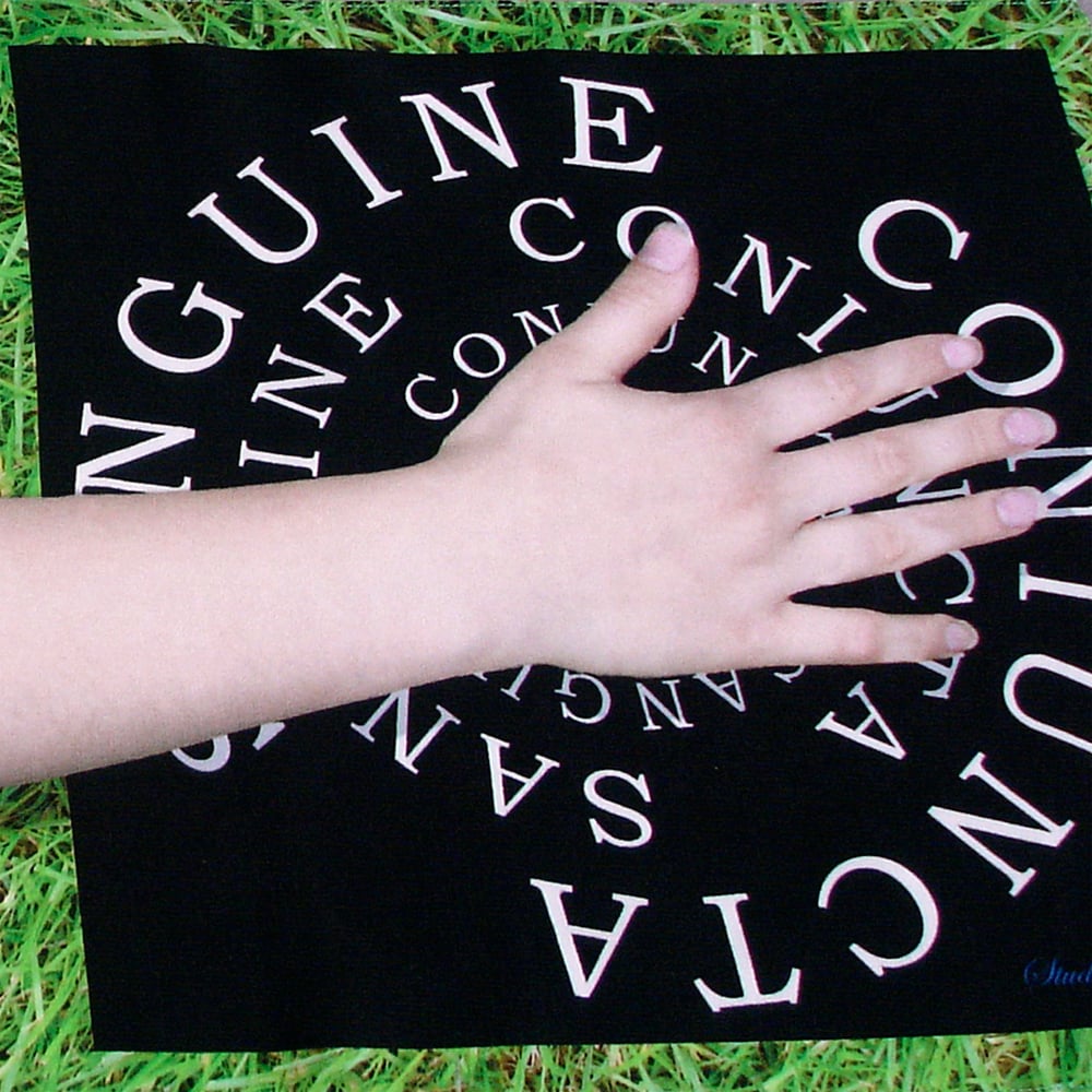 Image of Digitally printed silk scarf Sanguine Coniuncta 