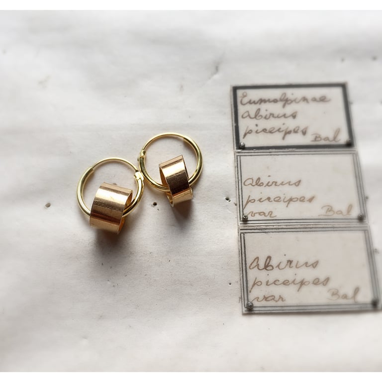 The Golden Pipeliner Earring