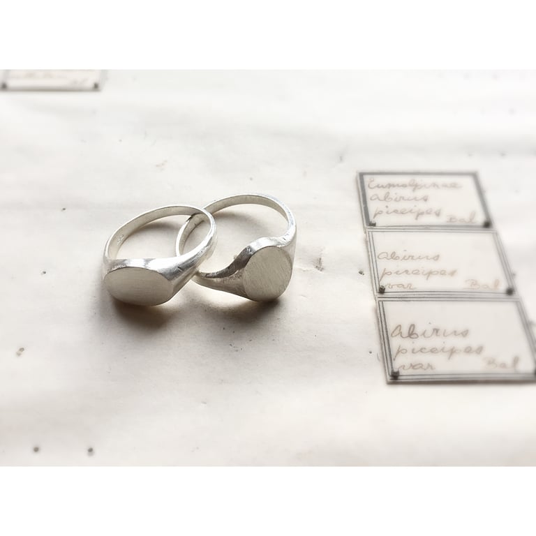 The Prospero Image 2