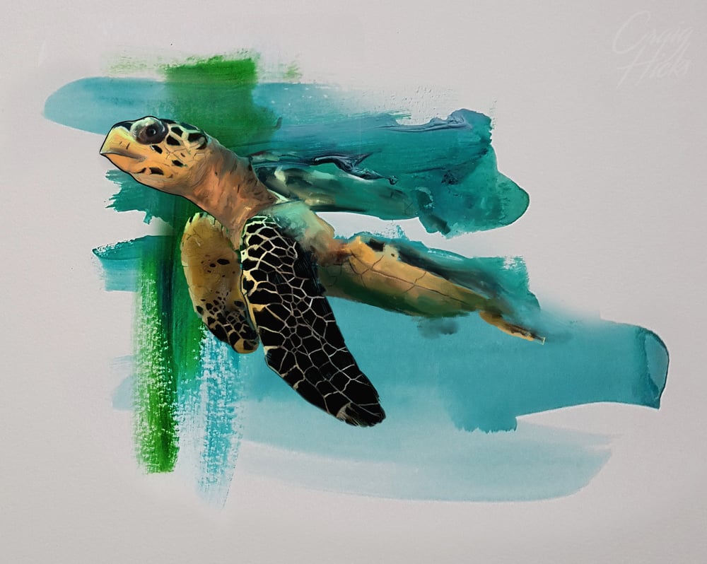 Image of Turtle