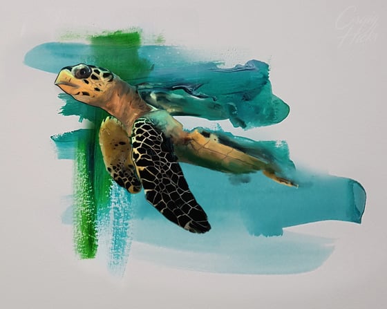 Image of Turtle