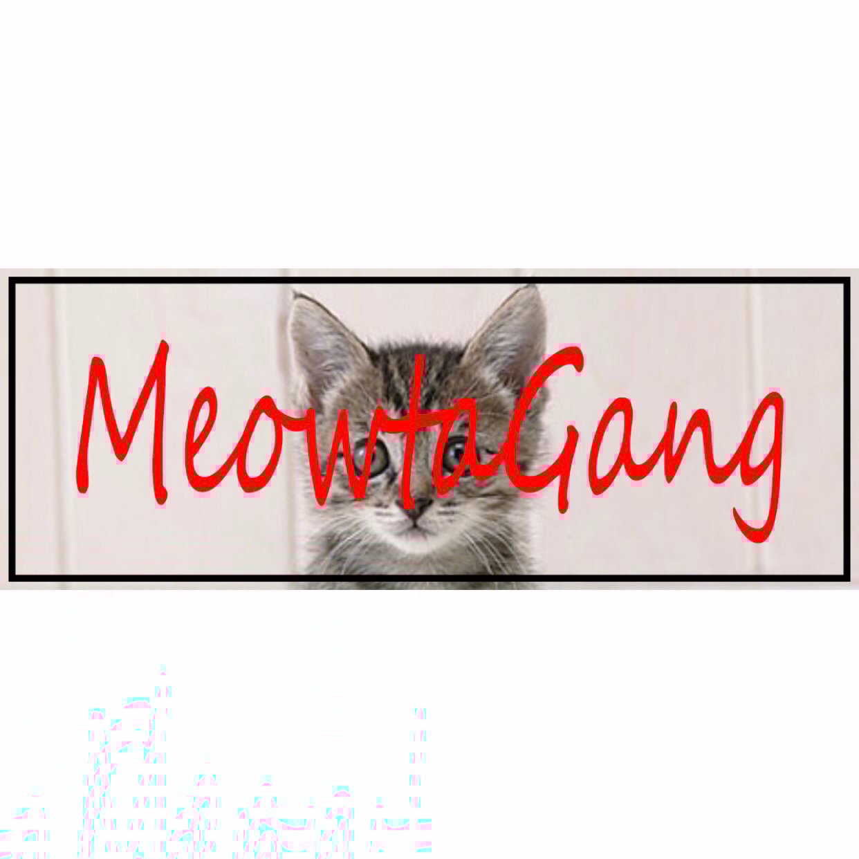 Bumper Sticker - Meowtagang