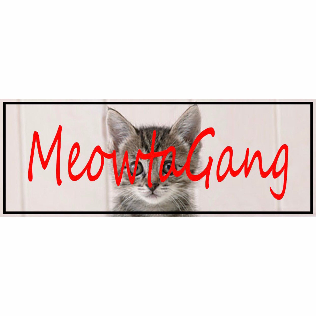 Bumper Sticker - Meowtagang