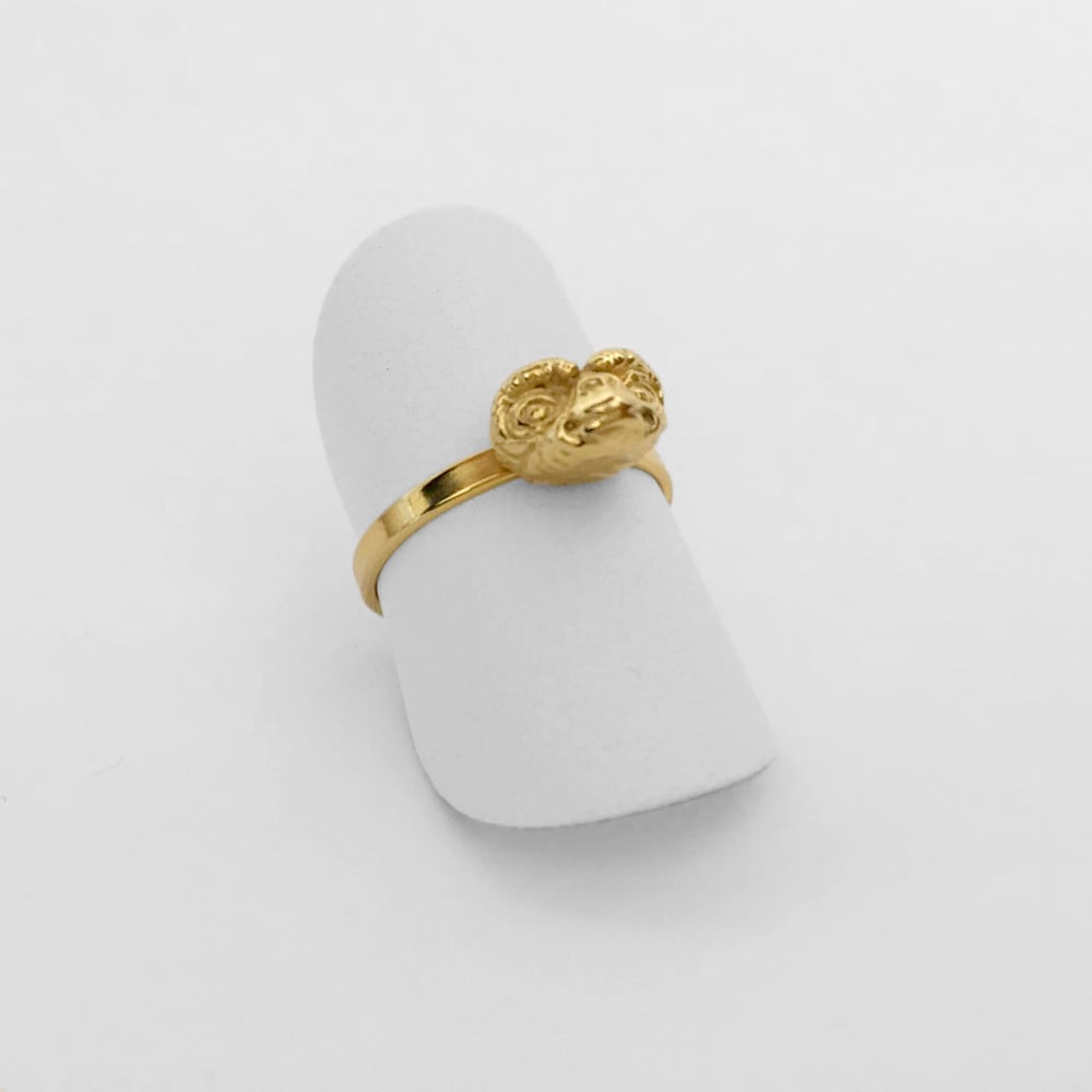 Image of Gold Ring  / Anillo EXTRATERRESTRE Oro XS