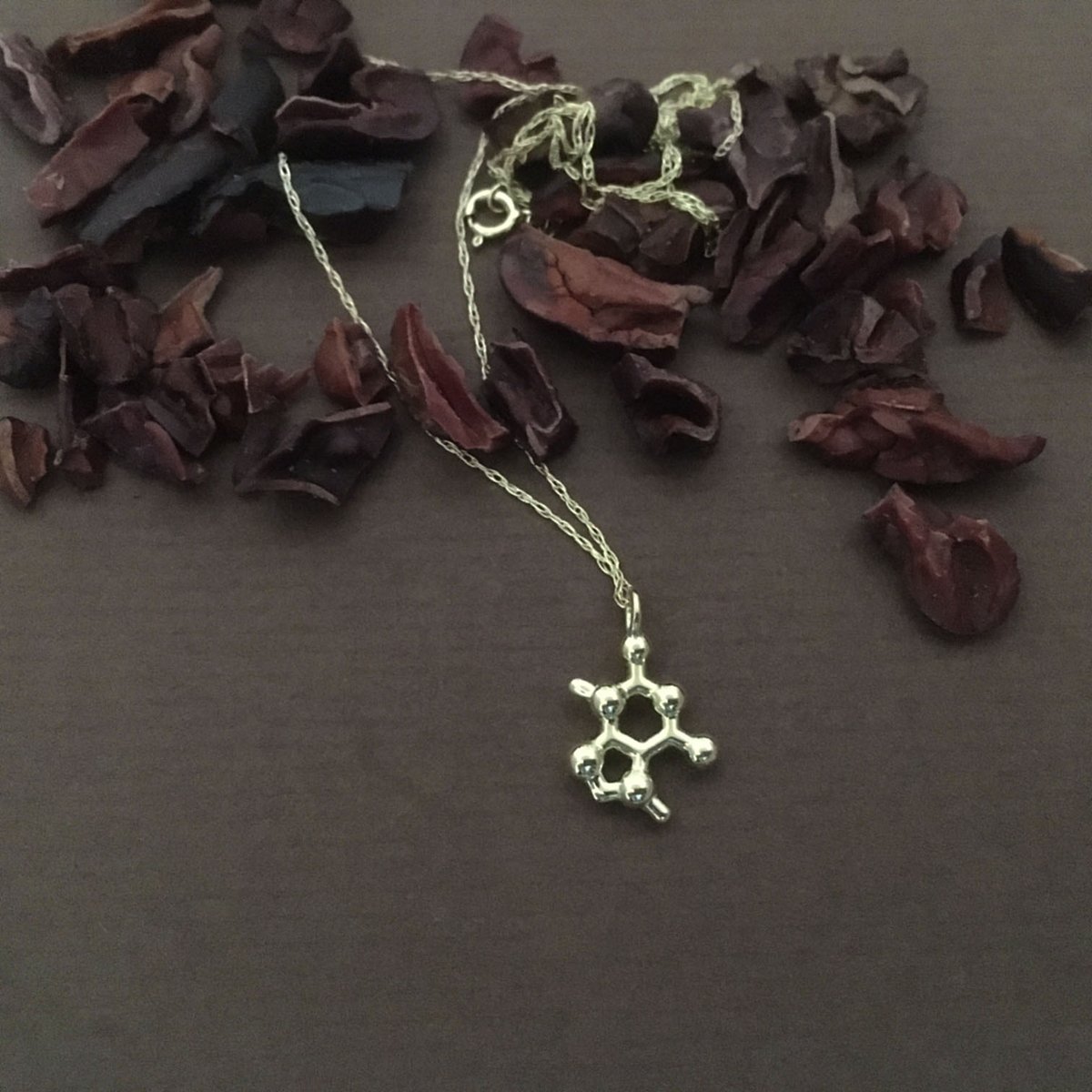 Image of tiny theobromine necklace