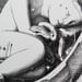 Image of Devenire Fetus Granata byn - Liqen