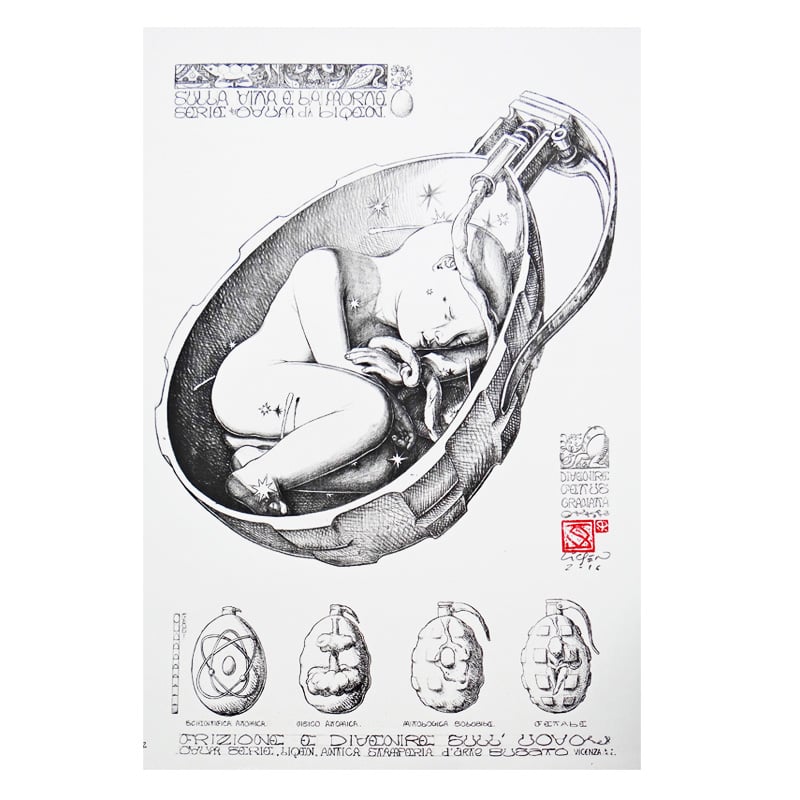 Image of Devenire Fetus Granata byn - Liqen