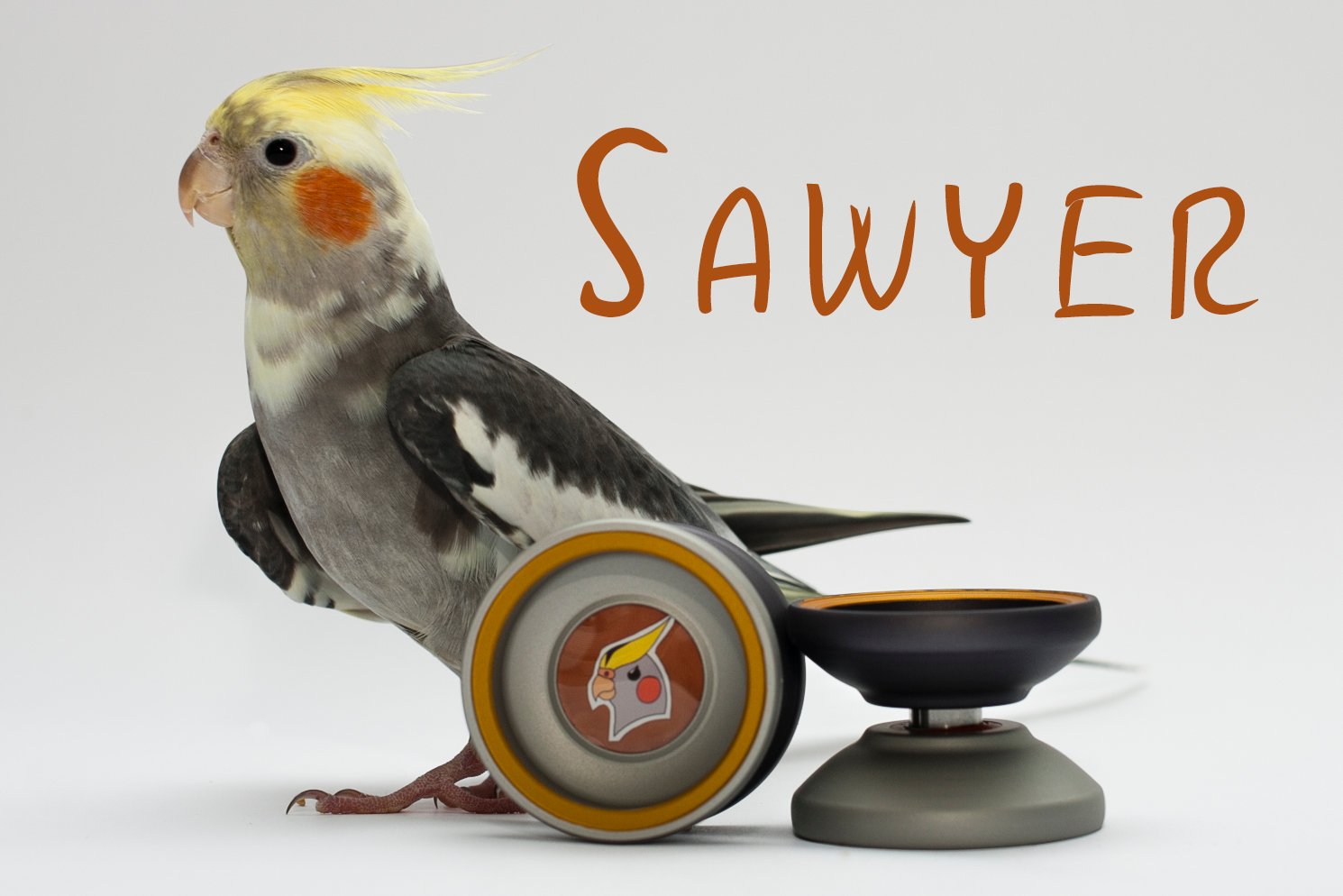 Image of Sawyer