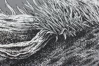 Image 3 of ' Bitter Branches II '