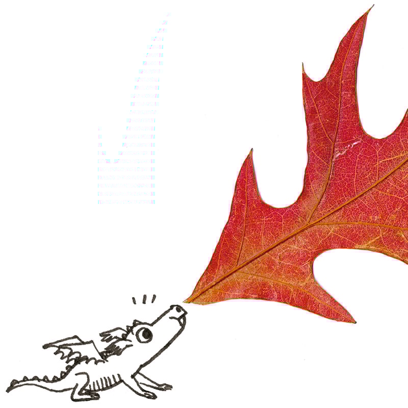 Image of Autumn Dragon Print