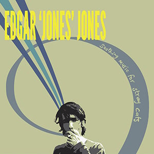 Image of EDGAR 'JONES' JONES - SOOTHING MUSIC FOR STRAY CATS - SIGNED ART PRINT