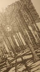 Image of PH Great Woods Black on White