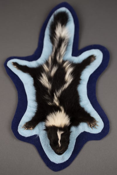 Image of Baby skunk Rugs