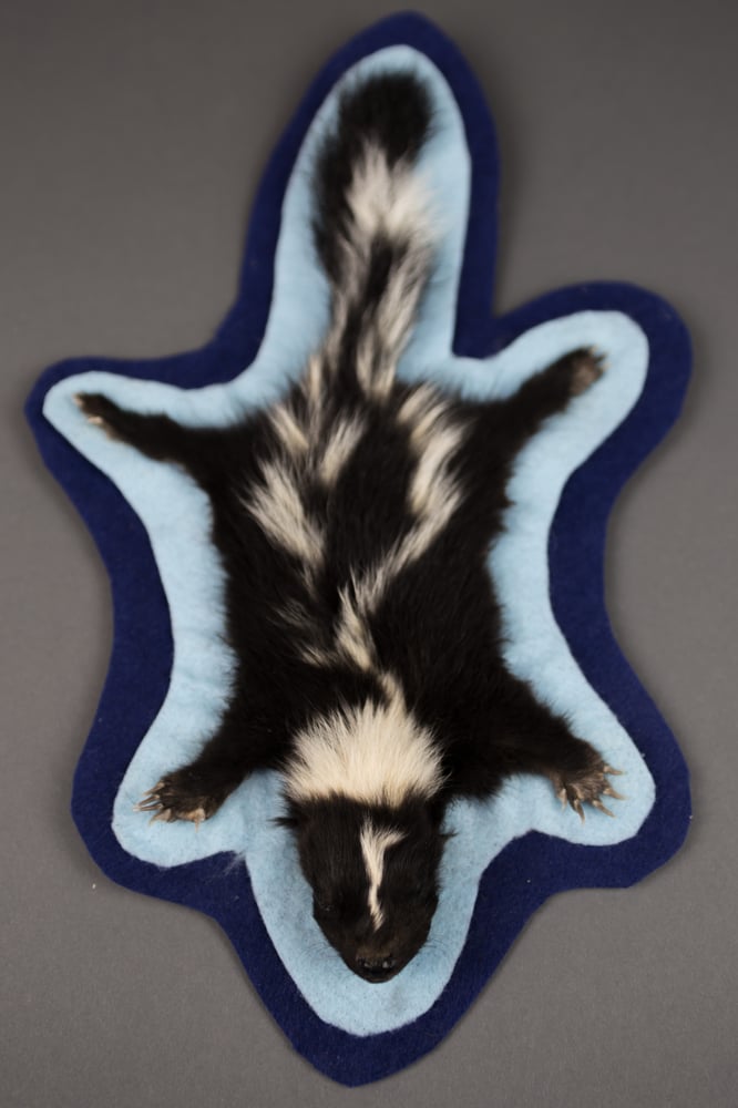 TOMSIMAGINATION — Baby skunk Rugs