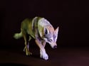 Wolf Dog sculpture. Limited edition