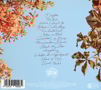 Image 2 of Scott Matthews - Home Part II - CD