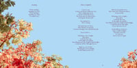 Image 4 of Scott Matthews - Home Part II - CD