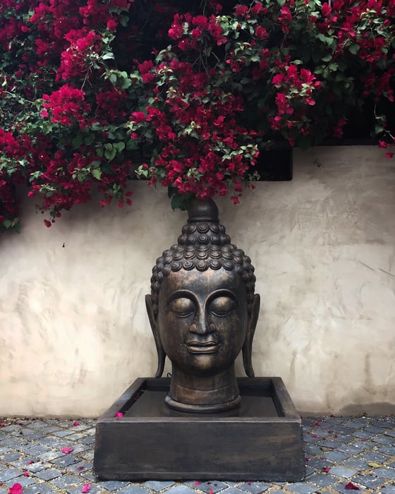 Image of Peace