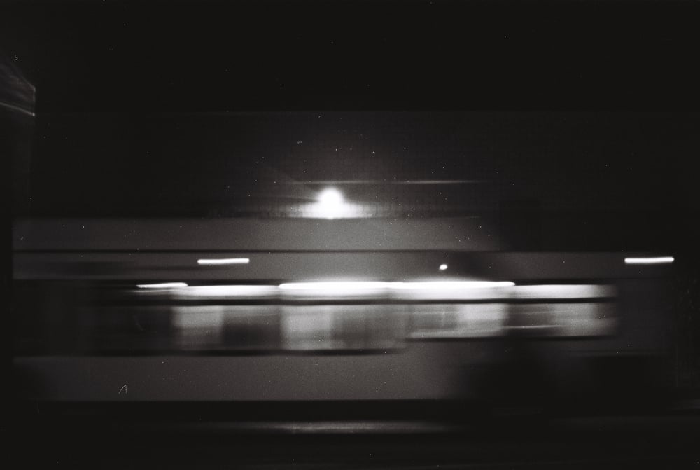 Image of Night life